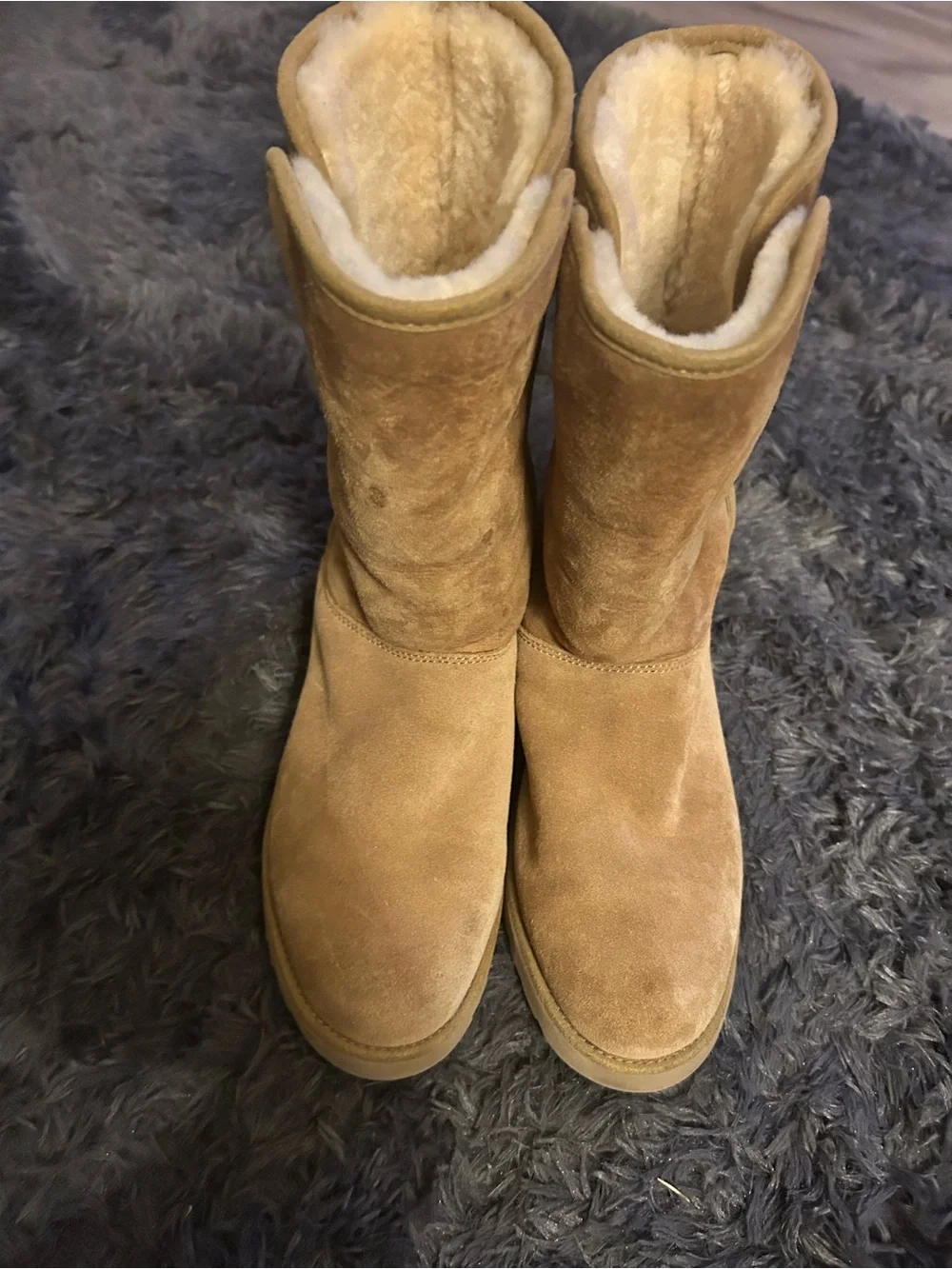 UGG Classic Short Wedge Boots in Chestnut Suede